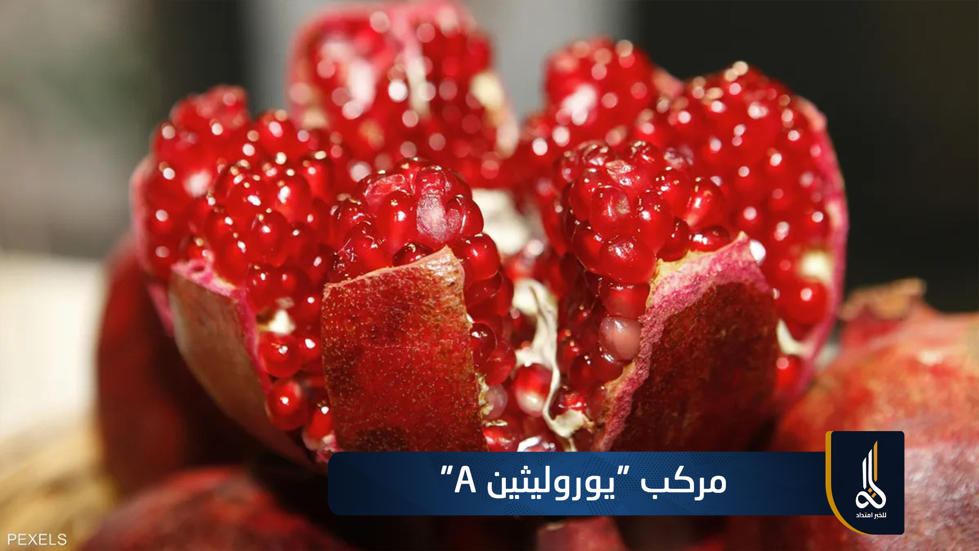 مركب مرتبط بالرمان يحسن مؤشرات وظائف القلب لدى الفئران 
