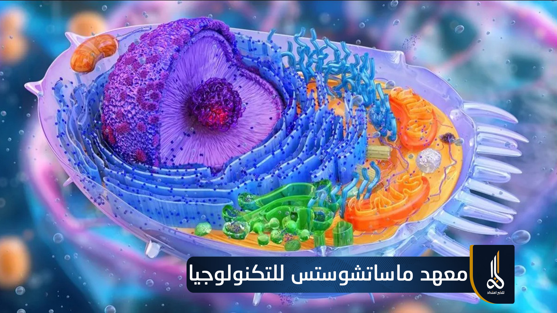 باحثون يطورون تقنية غير مدمرة لرصد الخلايا الهرمة